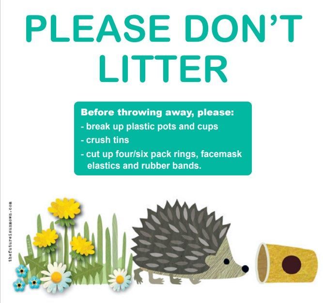 Green spaces like parks, allotments &amp; playing-fields are important for #wildlife like #hedgehogs
🌼 🦔 🐦
Why not head outside for some #MondayMotivation? Take a walk, help out with a litter-pick or pin up a poster to help ‘hogs in your neighbourhood?

buff.ly/3wKYJ8Z