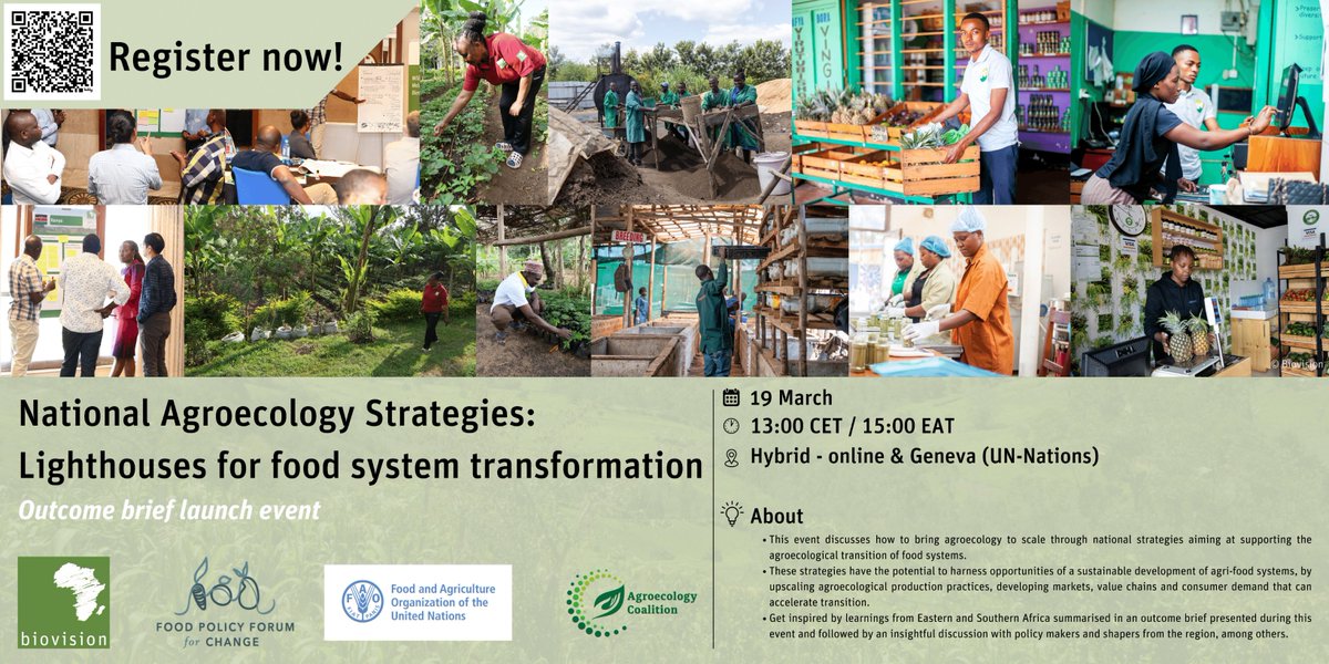 📢Happening Tomorrow! 🛑Invitation to launch event of the Outcome Brief on 'National Agroecology Strategies: Lighthouses for Food System Transformation.' 🗓️19 March 2024 ⏲️3:00PM (East African Time) 🔗Registration Link: bit.ly/nas_event_zoom… @FutureForAll @FAO @kilimoKE