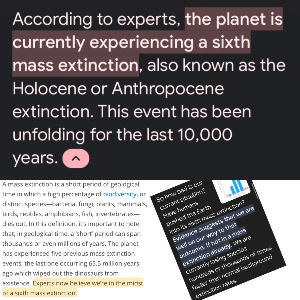 Climate Army Africa  tweet media