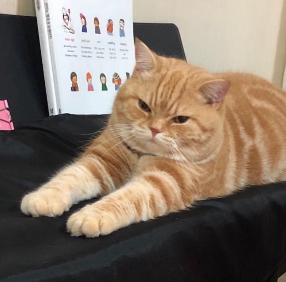 นุดเทข้าวให้เค้ายังอะ