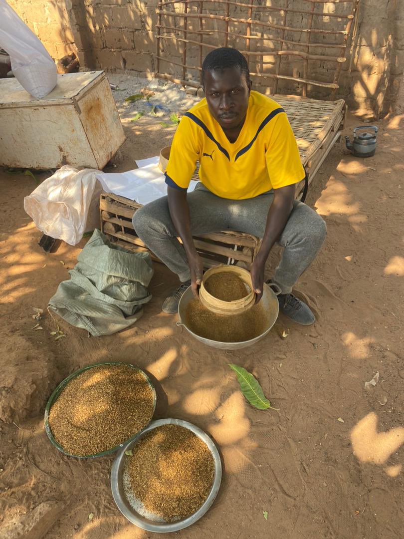 GGWFrontline's tweet photo. In the heart of rural Gambia, farmers go through a rigorous process of creating a natural fertilizer and pesticide called neem cake and neem oil🪴

These eco-friendly solutions are revolutionizing agriculture, while mitigating environmental impact, cultivating a greener future🌍 https://t.co/967ayFzehY