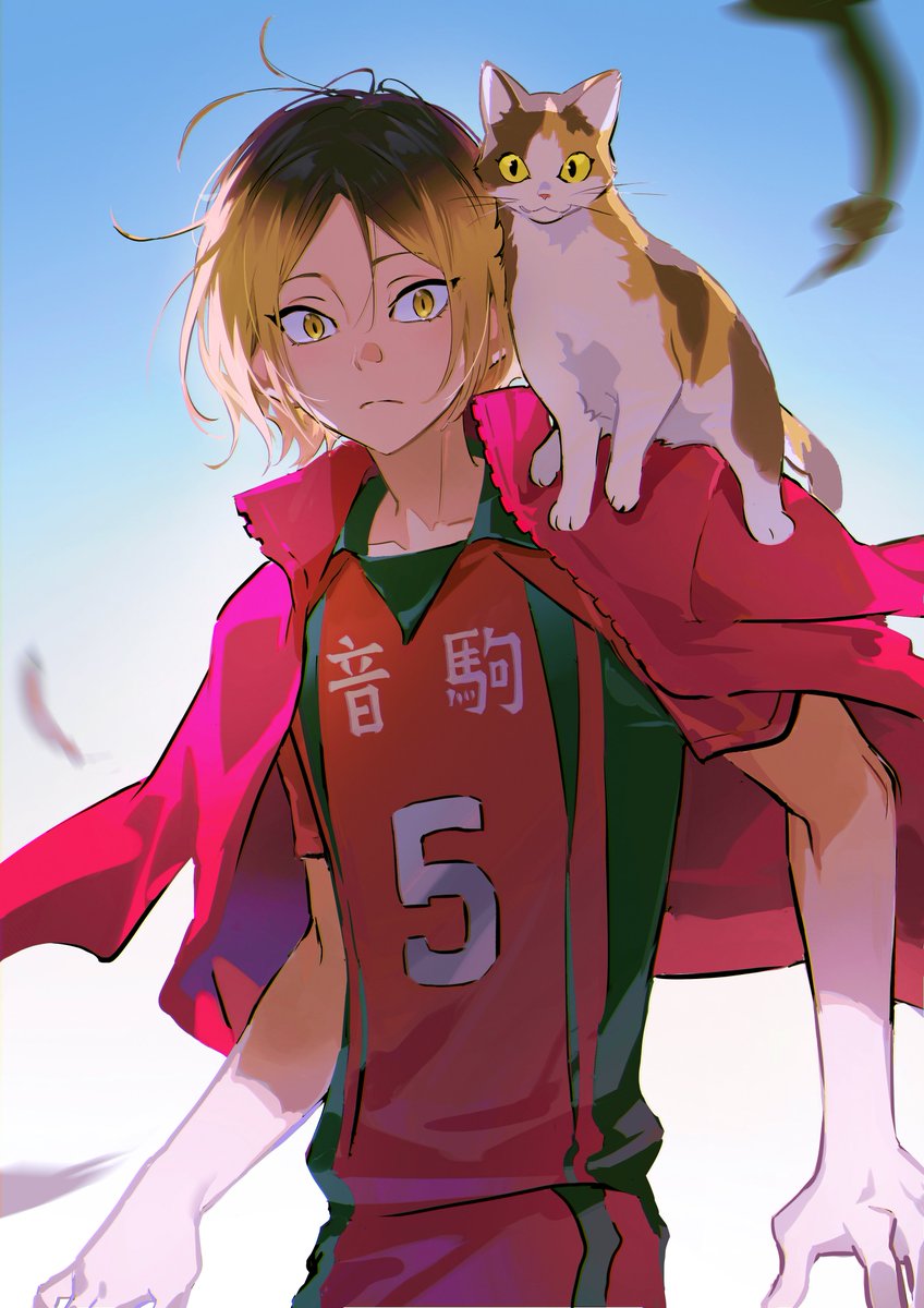jiuniaoshan's tweet photo. 盯— https://t.co/h9AOBCfic9