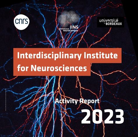 Interdisciplinary Institute for Neuroscience 🧠 (@iins_bordeaux) on Twitter photo 📢#2023review | Our very first activity report is out!
👉 Contents
- IINS in a few figures📊
- A look back at 2023📅
- Successes 🥇
- Translational successes🏥
- Technological successes🔬
➡️neuro-intramuros.u-bordeaux.fr/archived_actus…
<a href="/CNRS/">CNRS 🌍</a> / <a href="/univbordeaux/">Université de Bordeaux</a> / <a href="/Neuro_Bordeaux/">Bordeaux Neurocampus</a> 📢#2023review | Our very first activity report is out!
👉 Contents
- IINS in a few figures📊
- A look back at 2023📅
- Successes 🥇
- Translational successes🏥
- Technological successes🔬
➡️neuro-intramuros.u-bordeaux.fr/archived_actus…
<a href="/CNRS/">CNRS 🌍</a> / <a href="/univbordeaux/">Université de Bordeaux</a> / <a href="/Neuro_Bordeaux/">Bordeaux Neurocampus</a>