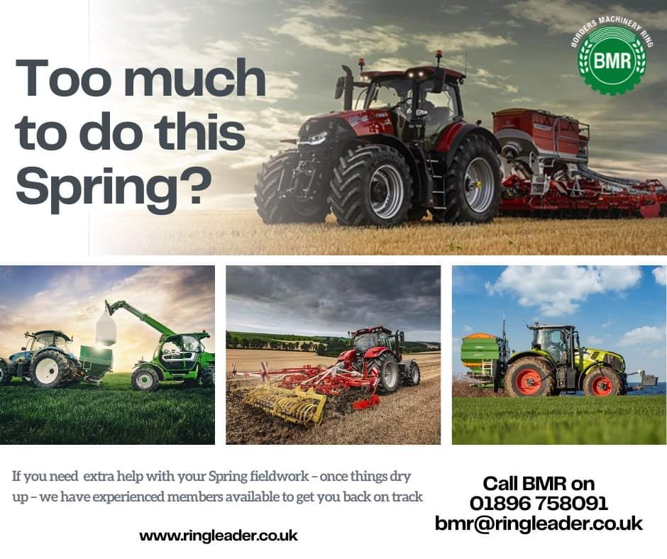 BordersMR's tweet image. 