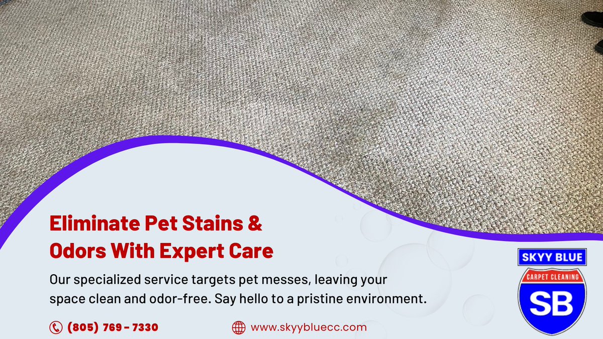 SkyyBlueCarpet's tweet image. Eliminate #PetStainsandOdors With #ExpertCare! 🐾

Our #specializedservice targets pet messes, leaving your space clean and odor-free. Say hello to a pristine environment. Book Now for a fresher home!

🌐: skyybluecc.com/pet-stains-odo…

#PetStainRemoval #OdorRemoval #CleanHome