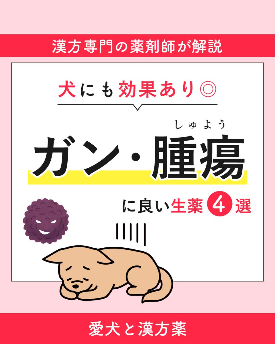 ペット和漢「わんぽうやく」 (@wanpouyaku) / Posts / X