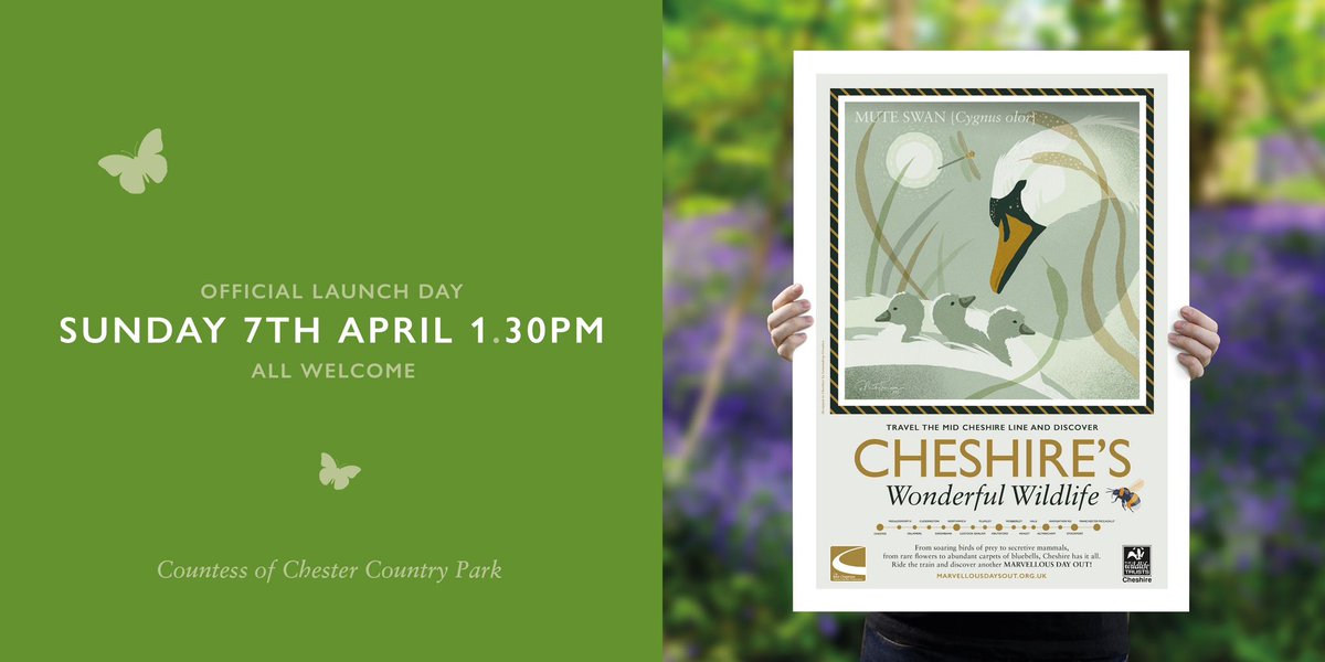 Date for your diary .. the official opening of the stunning #CheshiresWonderfulWildlife art trail in @CountessPark featuring the work of artist @nickythompsona1 @MayorChester Cllr Shelia Little will unveil a special poster by @Friendly_Bench at 1:30 Sun 7th April All are welcome