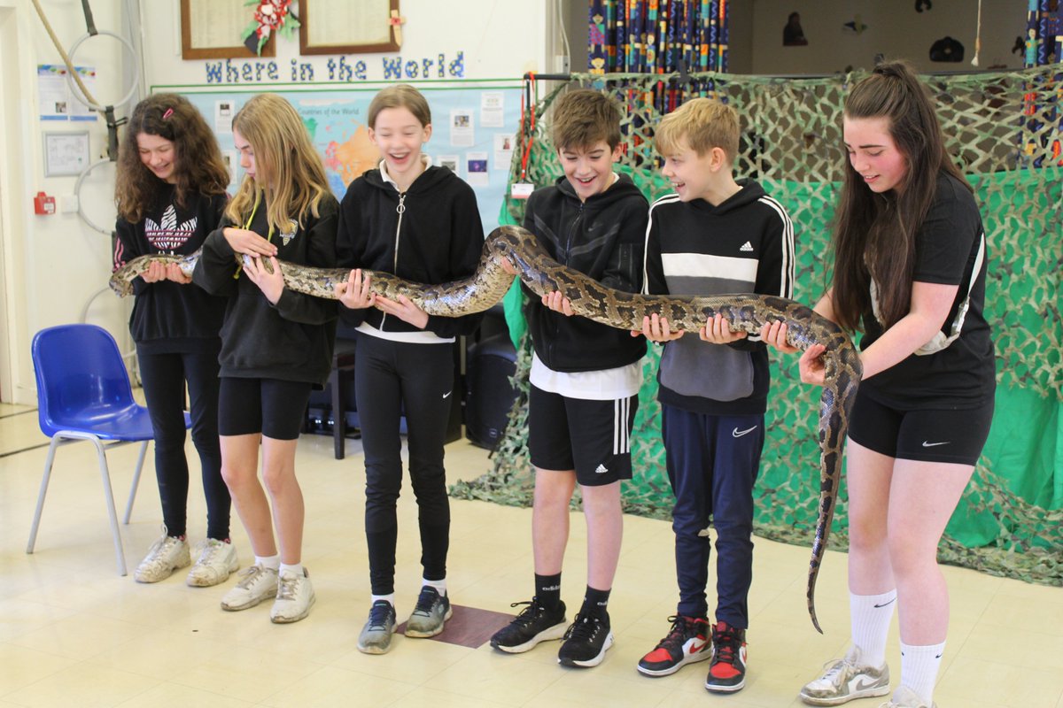 John Clare Primary tweet media