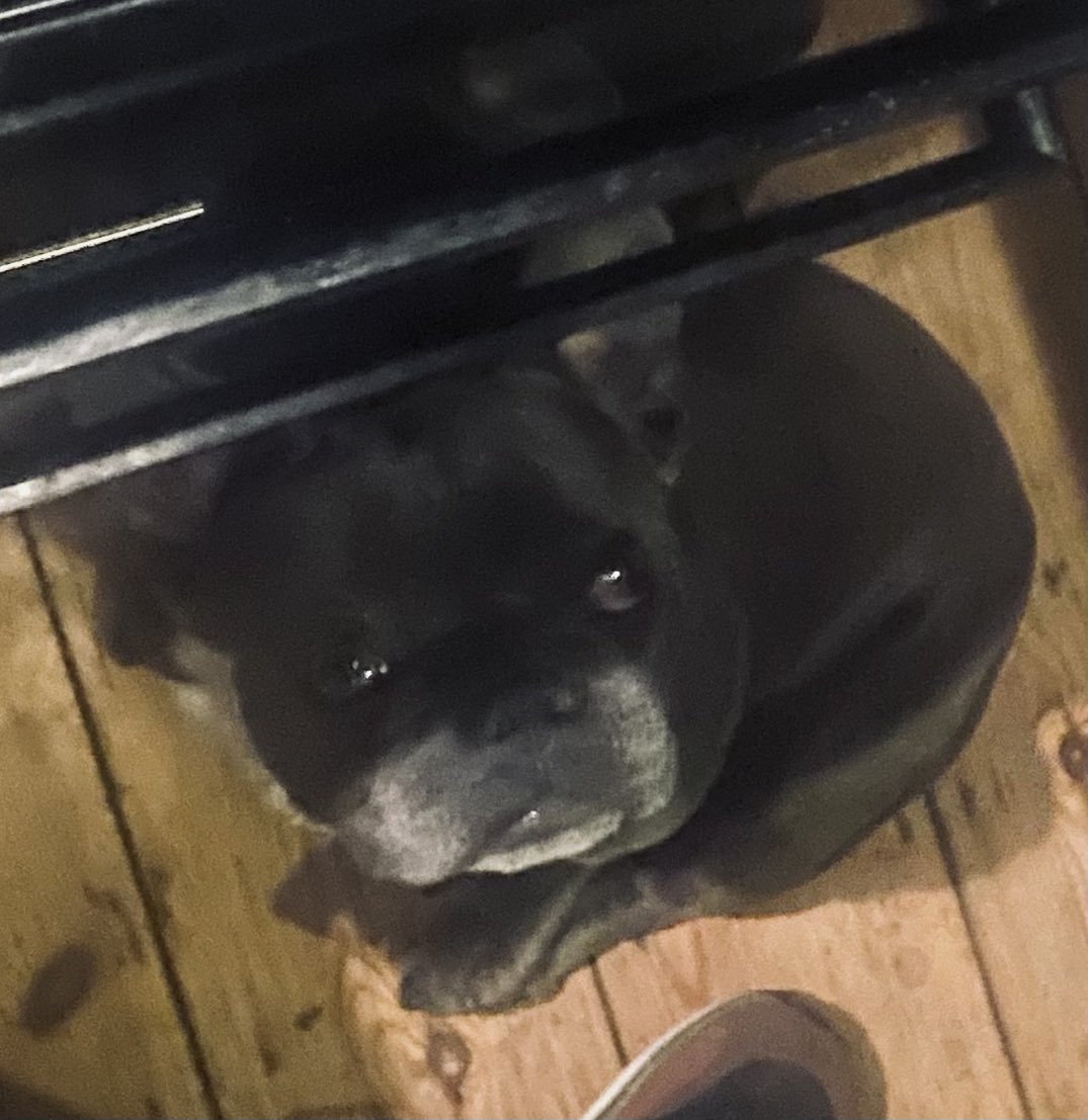 Dialer | • Art tweet media