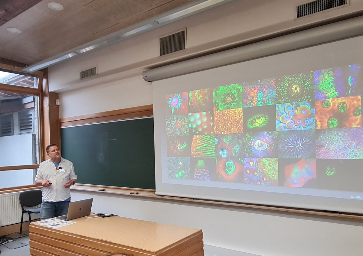 A beautiful talk by @NathanShaner on fluorescent proteins at a school #fluorescenceleshouches in Alpes.