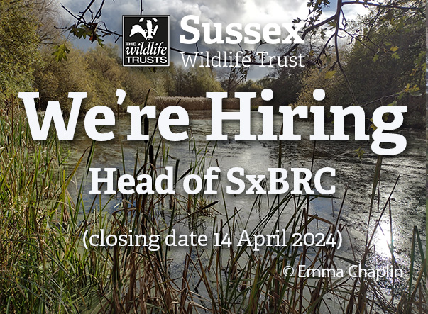 Do you have a passion for biological recording &amp; a great track record of partnership working? We are looking for a new Head of the Sussex Biodiversity Record Centre
<a href="/SxBRC/">Sussex Biodiversity</a> 
sussexwildlifetrust.org.uk/get-involved/j…