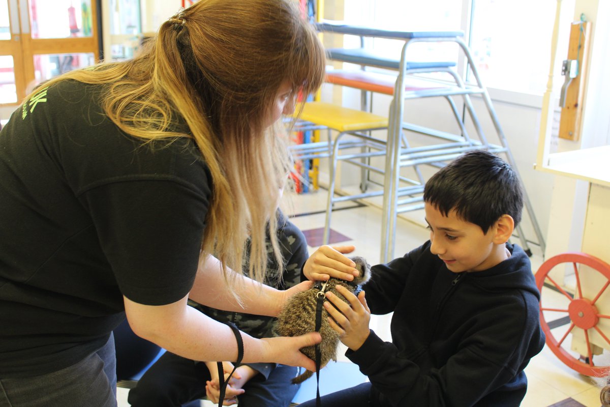 John Clare Primary (@johnclarepri) on Twitter photo Quite an unusual day when you share your morning with a tarantula and a meercat. Year 6 were overwhelmed by their visitors. <a href="/SokeEdTrust/">Soke Education Trust</a> <a href="/VillageTribune1/">Village Tribune</a> <a href="/ThePiXLNetwork/">PiXL</a> <a href="/Mercury1712/">Stamford Mercury</a> <a href="/peterboroughtel/">Peterborough Telegraph</a> Quite an unusual day when you share your morning with a tarantula and a meercat. Year 6 were overwhelmed by their visitors. <a href="/SokeEdTrust/">Soke Education Trust</a> <a href="/VillageTribune1/">Village Tribune</a> <a href="/ThePiXLNetwork/">PiXL</a> <a href="/Mercury1712/">Stamford Mercury</a> <a href="/peterboroughtel/">Peterborough Telegraph</a>
