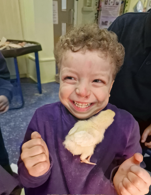 shipley_ce's tweet photo. Reception will certainly be sad to see their new friends go! They've had great fun looking after the chicks over the last few weeks @WeAreBDAT #chick #chickens #grow #enquiry #engagement #learninghook #eyfs #provision https://t.co/kKx6NW9U7b
