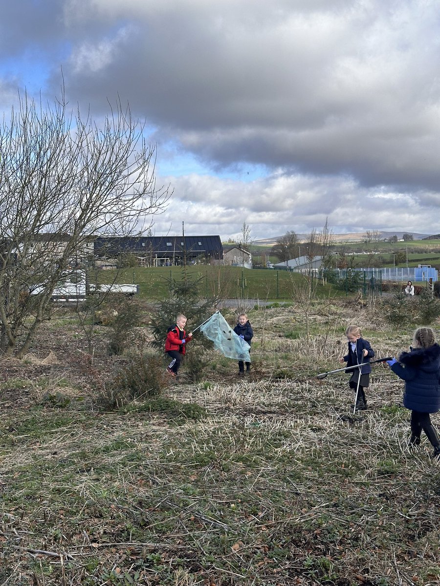 Netherthird PS & ECC tweet media