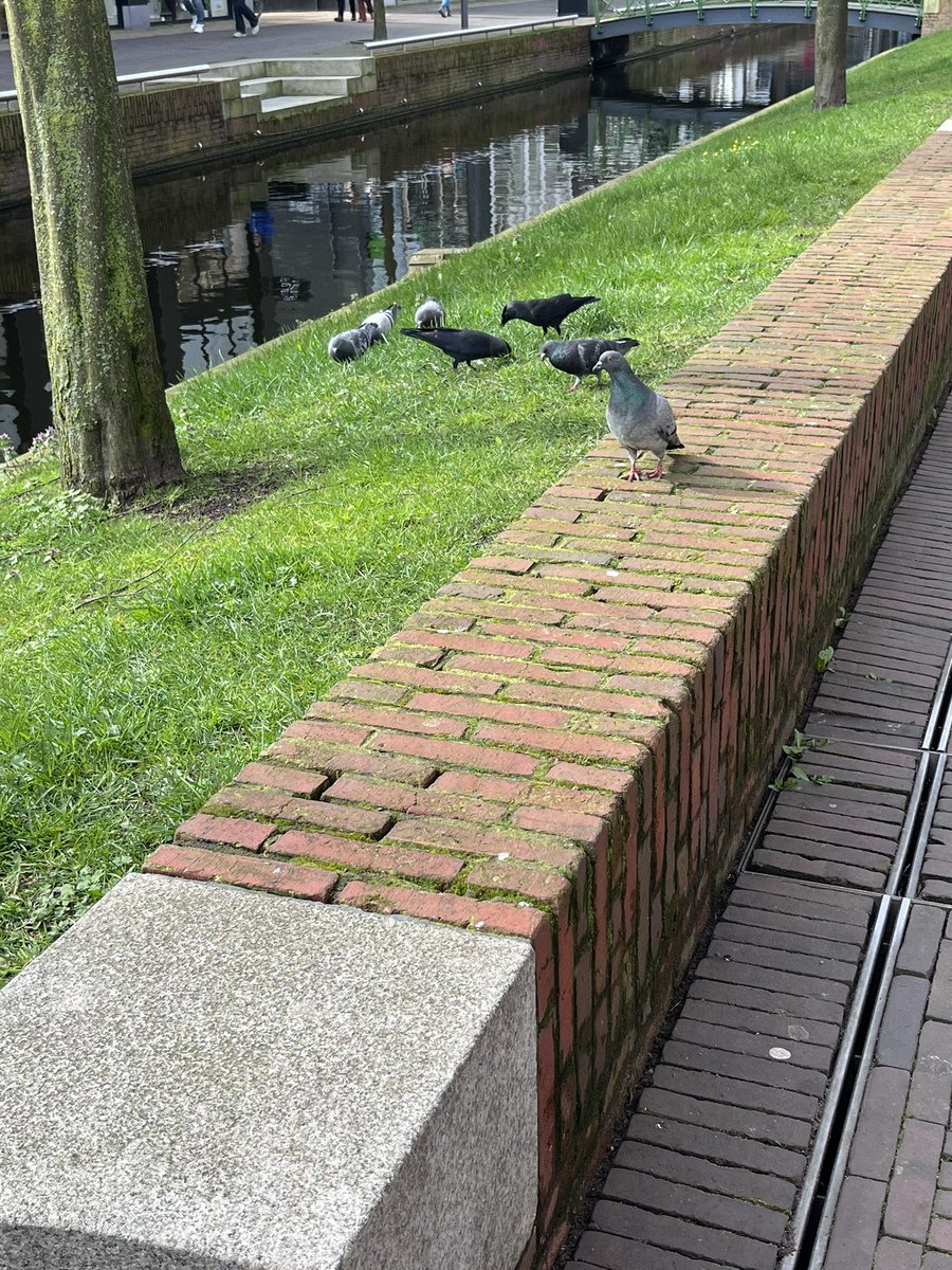 Benny (they/them) tweet media