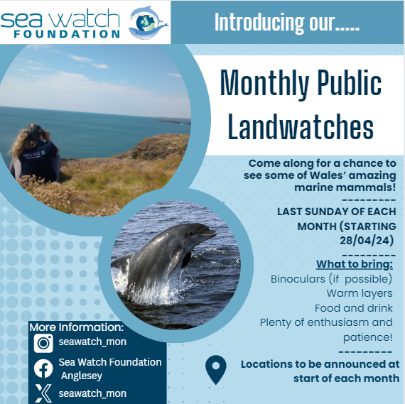 Each month we will be hosting public marine mammal surveys at different locations across Anglesey. Come along to see the amazing wildlife right on our doorstep here in North Wales! 🐳 Time and location will be announced at the start of each month *weather dependent*