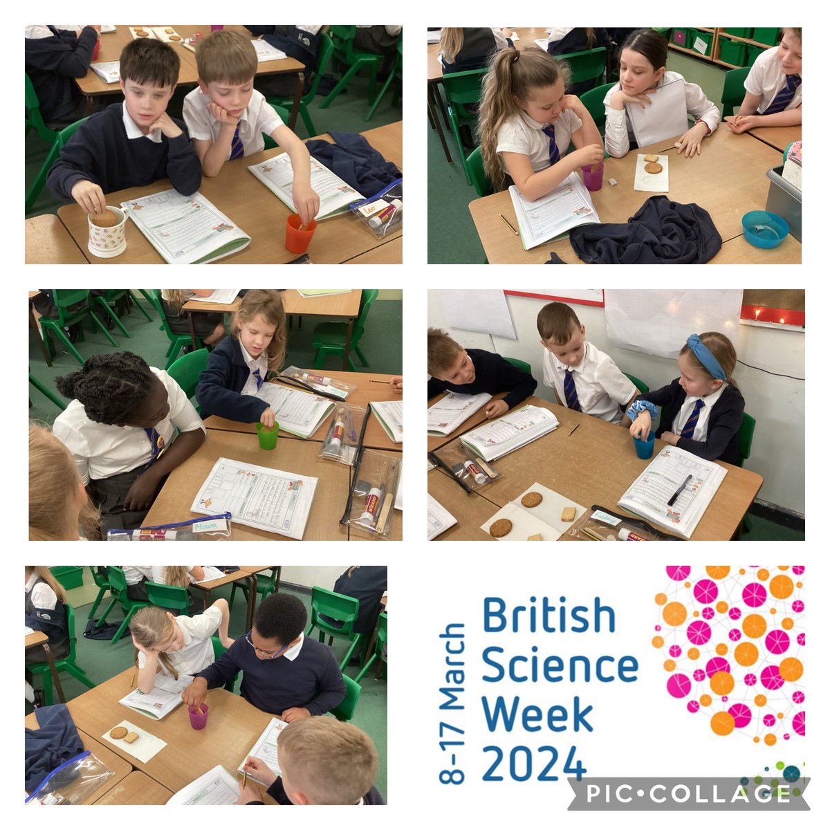 HendalPS's tweet photo. 3A had a wonderful time last week participating in Science Week 2024! STEM success! #OrcaClass #STEM #ScienceWeek #Science #experiments https://t.co/7R1IdbEwCV