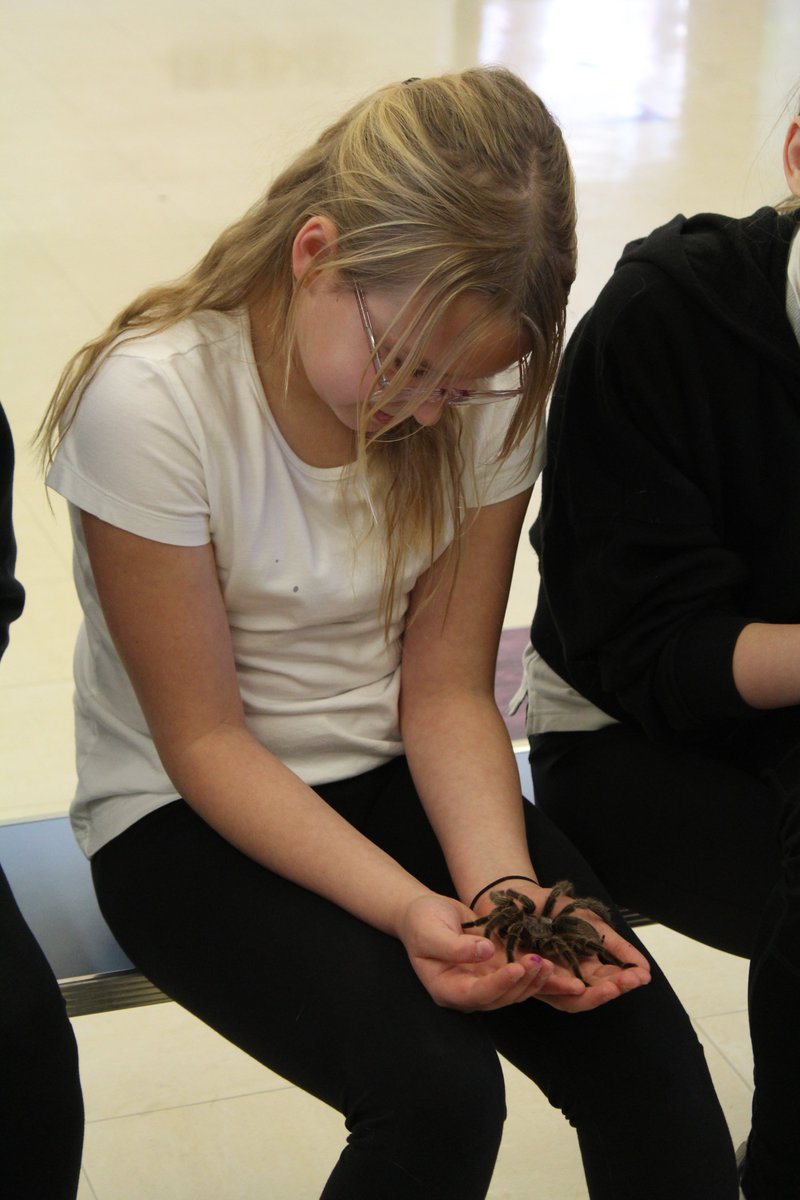 John Clare Primary tweet media