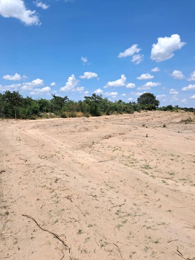 NFREALTYGROUP's tweet photo. LAKE CITY STANDS

STAND SIZE.           - 600sqm

PRICE.                        $40/sqm

TERMS AVAILABLE 

DEPOSIT.                    - 20%

BALANCE.                   - 36months

CALL / APP NYASHA 
0783 663 353 
BEST OPTION PROPERTIES https://t.co/rV8xad9xnR