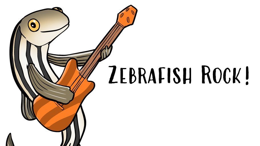 For our #SpotlightZebrafish this week, we will be featuring the hard-working  volunteers behind <a href="/ZebrafishRock/">Zebrafish Rock!</a>! Follow this thread throughout the day as we introduce our fintastic foursome of Charli (<a href="/CharliCorcoran/">Charli Corcoran</a>), Maddie (<a href="/madeline__ryan/">Madeline Ryan</a>), Joaquín (<a href="/MadS100tist/">MadScientist</a>), &amp; Kevin. 🐟