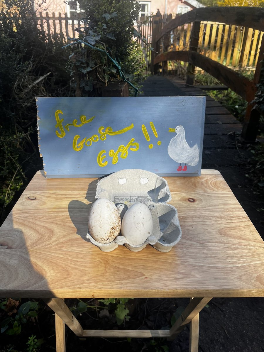 John-Henry Phillips tweet media