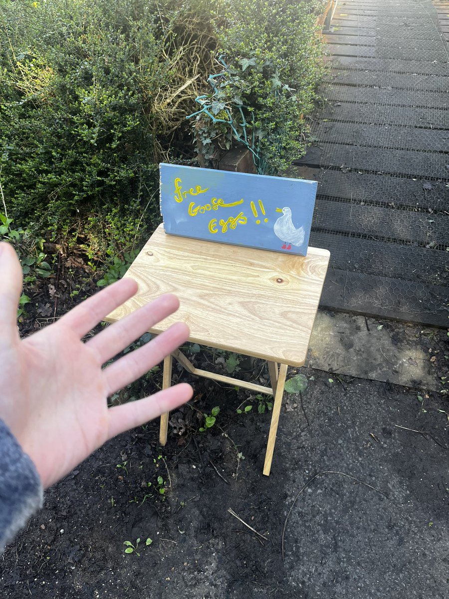 John-Henry Phillips tweet media