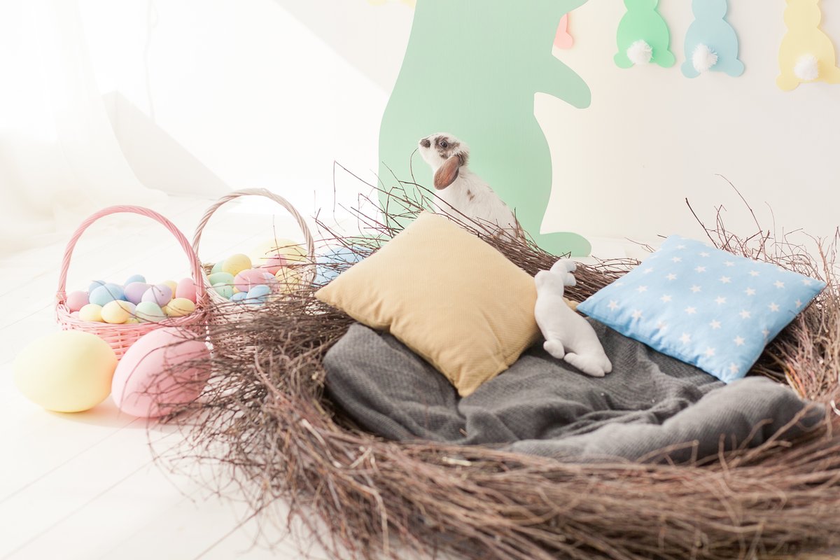 🐰 Hop into a candy-free Easter adventure with our latest blog! Discover 6 egg-citing basket ideas for kids that'll have them smiling  from ear to ear. 
Read On: keepxsakeshop.com/post/125019076…

#EasterBasketIdeas #CandyFreeEaster #familyfun #EasterJoy #CreativeParenting 🎨