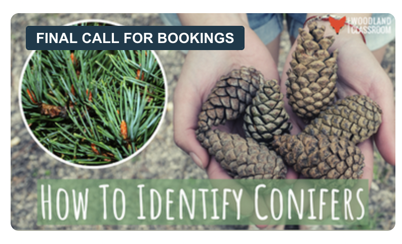 FINAL call for bookings for IOL Members free webinar How To Identify Conifer Trees - Wed 20th March 4.30pm Hosted by James Kendall. Member FREE / non members £30 outdoor-learning.org/Courses-Events… #freewebinar #outdoorlearning