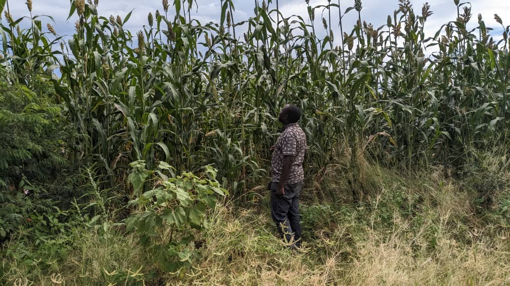 Tanzania & all developing nations! Small scale farmers need climate-smart solutions: info, knowledge, tech & resources. Every stakeholder has a role to build a sustainable future for agriculture! #ClimateChange #FoodSecurity