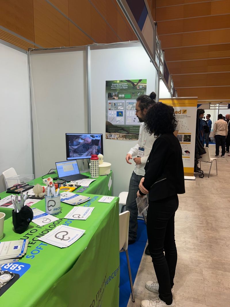 Proboscis_project tweet media