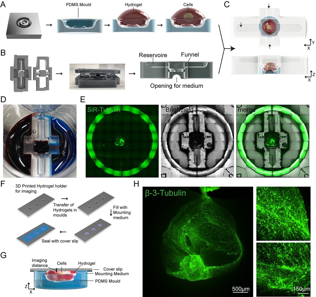PLOSBiology's tweet photo. The design and fabrication of customized #microwells and #microfluidic chips is often challenging. This #PLOSBiology study describes a pipeline for resin-based 3D printed constructs and provides a variety of applications in biological #experiments.
https://t.co/LY8QJNnisw https://t.co/Cs26UwLkxj