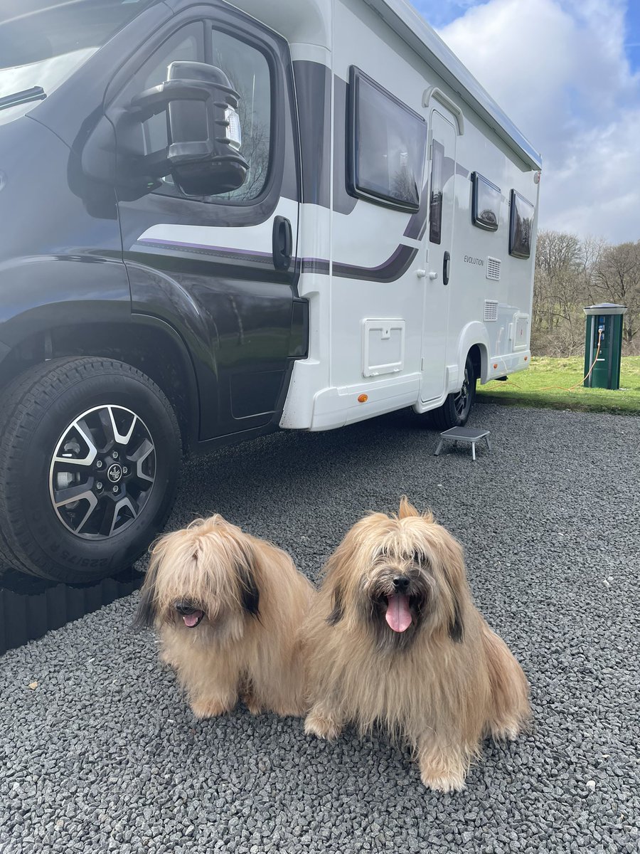 It’s our 11th birthday and we’re on our first trip away in our motorhome. Exploring #barnardcastle. Have a lovely day everyone 🥰🥰#dogsoftwitter #dogs #dogsofX