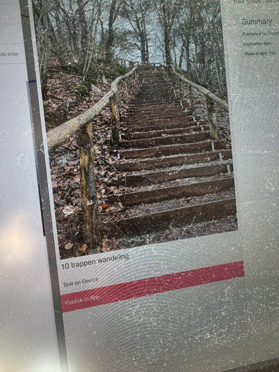 Bijna klaar… zo naar buiten om te testen! ☀️☀️☀️☀️☀️🍀🍀🍀🍀 ik mag dat werken noemen🤗🎉 opening van de trap bij de Brouwerskom voorbereiden! #hoogsteduinevanNederland <a href="/buitenfonds/">Buitenfonds</a> <a href="/staatsbosbeheer/">Staatsbosbeheer</a>