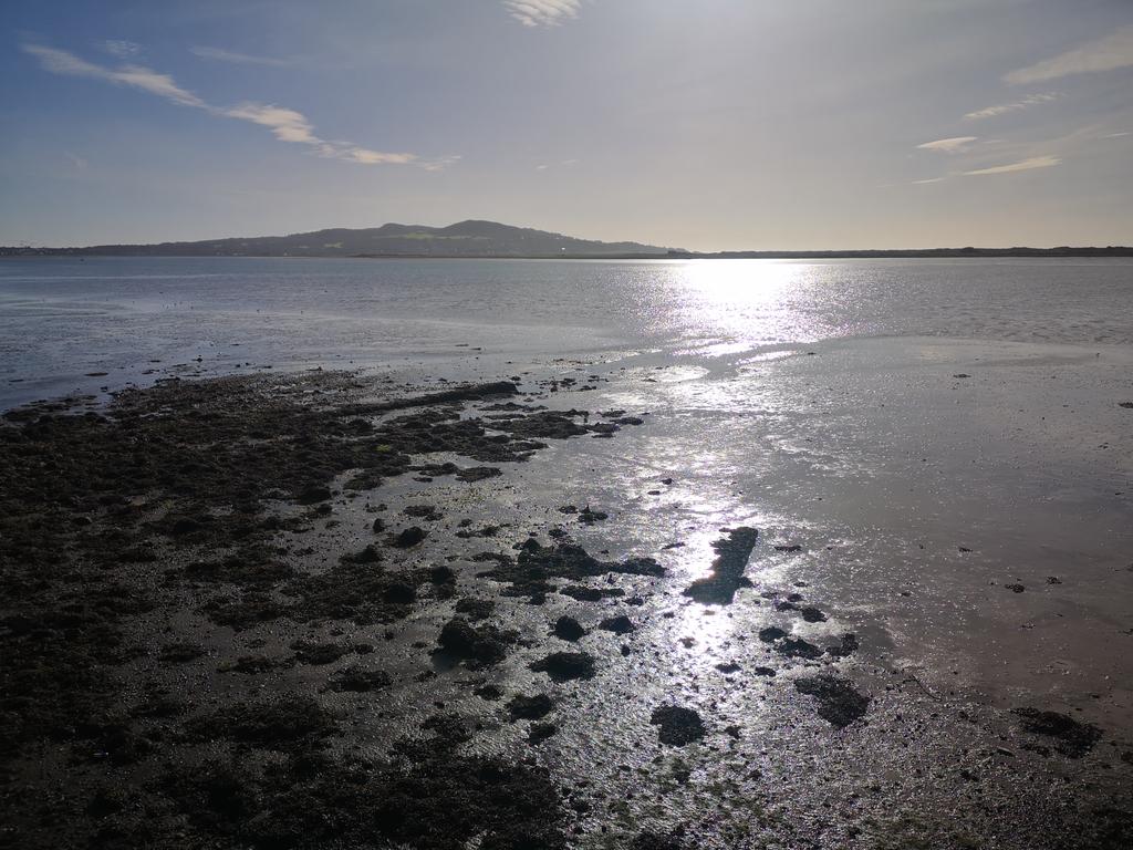 Gorgeous morning for a spin up and down Howth... Feels like spring is finally arriving in Dublin for St Patrick's weekend #happypaddysday #sunrisespin #cyclingDublin