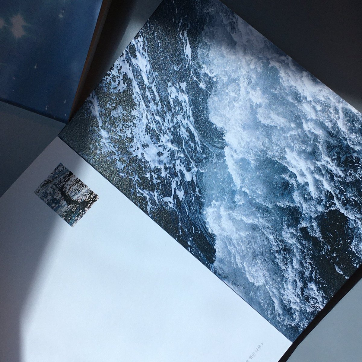 blaushut's tweet photo. #rt 추첨 5분께 엽서북 <blue>를 보내드려요 🌊

엽서북 <blue>를 판매합니다.
자세한 내용은 아래 폼을 통해 확인해주세요!

주문 기간: 3/18~3/24 23:59
폼: https://t.co/VA2Pyiilt5 https://t.co/b4yEFQNtk1