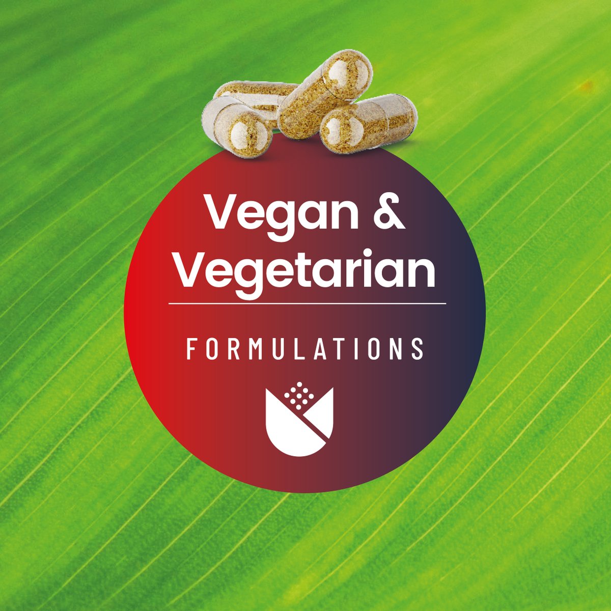 RedroseNutraMf's tweet photo. More end-users are becoming vegan or vegetarian which has in turn led them to seek out plant-based supplements.🌱

Redrose has its vegan and vegetarian certification and can offer these plant based supplement options for your customers.

Learn more: https://t.co/y7rnlQ25VC https://t.co/8hzioEzXTV