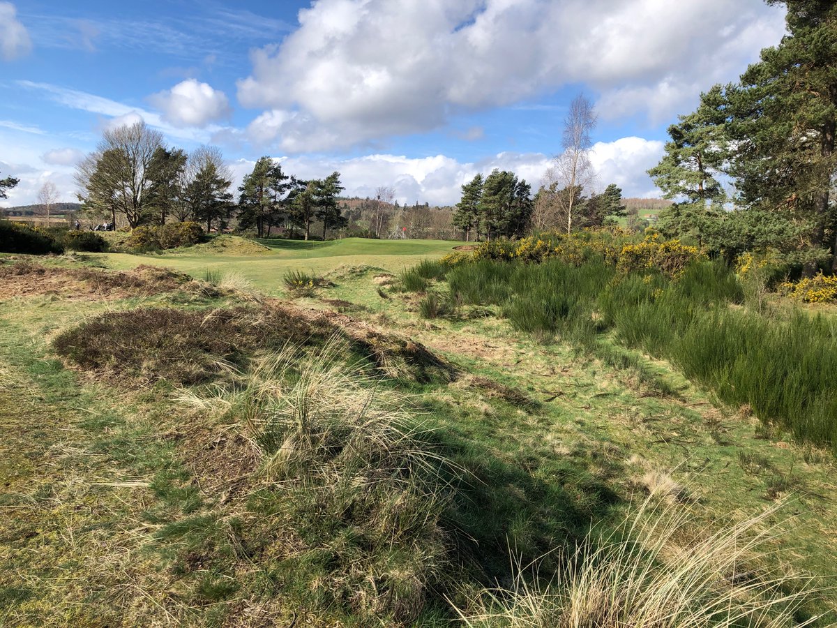 Spring has arrived <a href="/ScotscraigGC/">Scotscraig Golf Club</a>