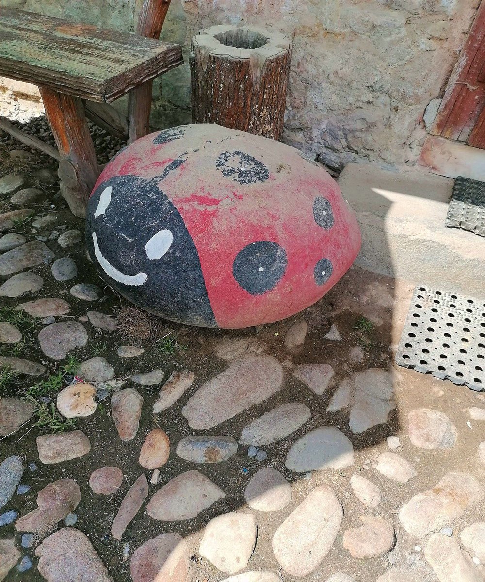 GuideToRomania's tweet image. A giant ladybug! [buff.ly/44amYZL] #DraculaLand #Romania #Viscri #KingCharles #relax