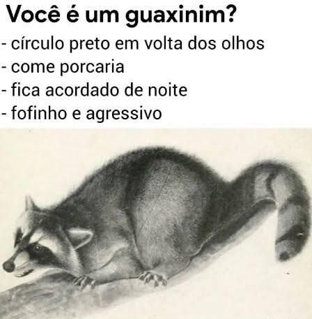 Terror do Cotidiano (@terrorcotidiano) on Twitter photo 