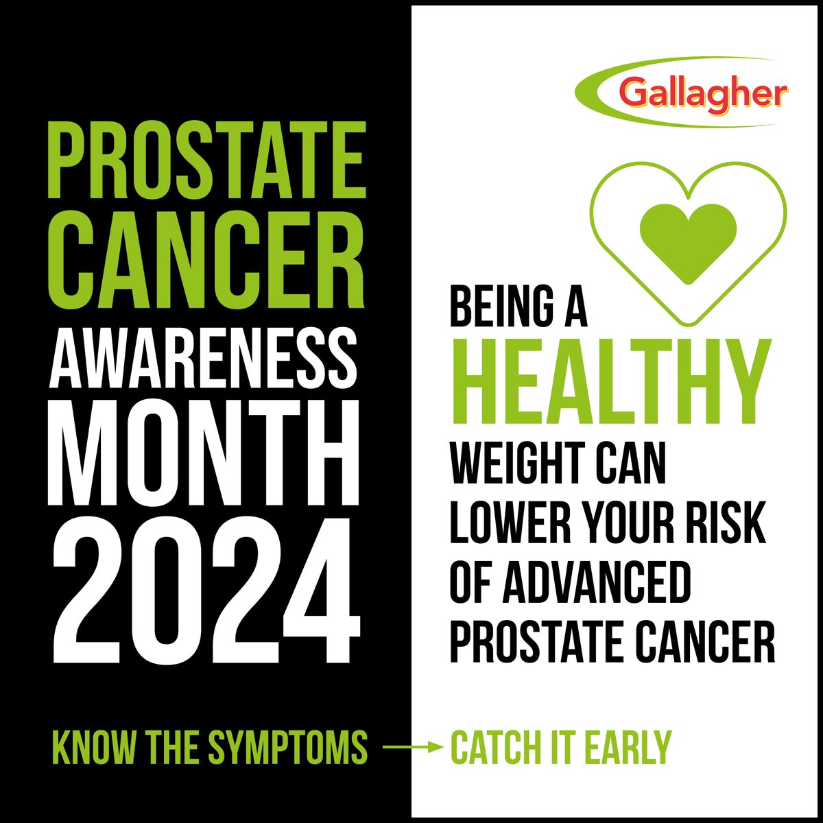 Gallagher Group tweet media