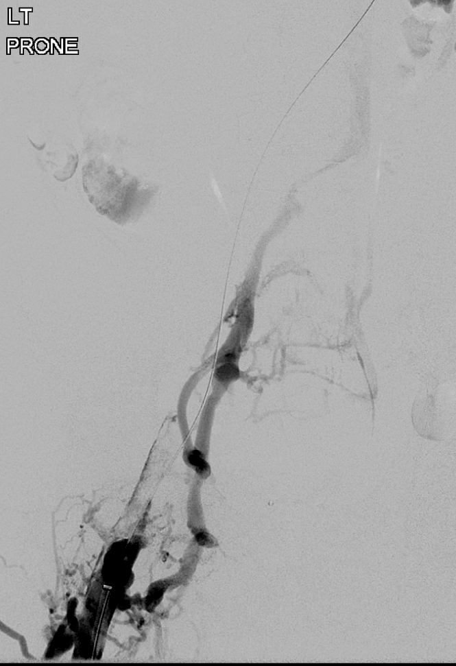 Mahmoud Ali MD tweet media