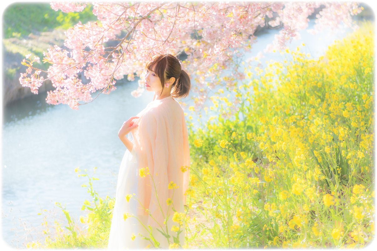 sasa_photo77 tweet picture