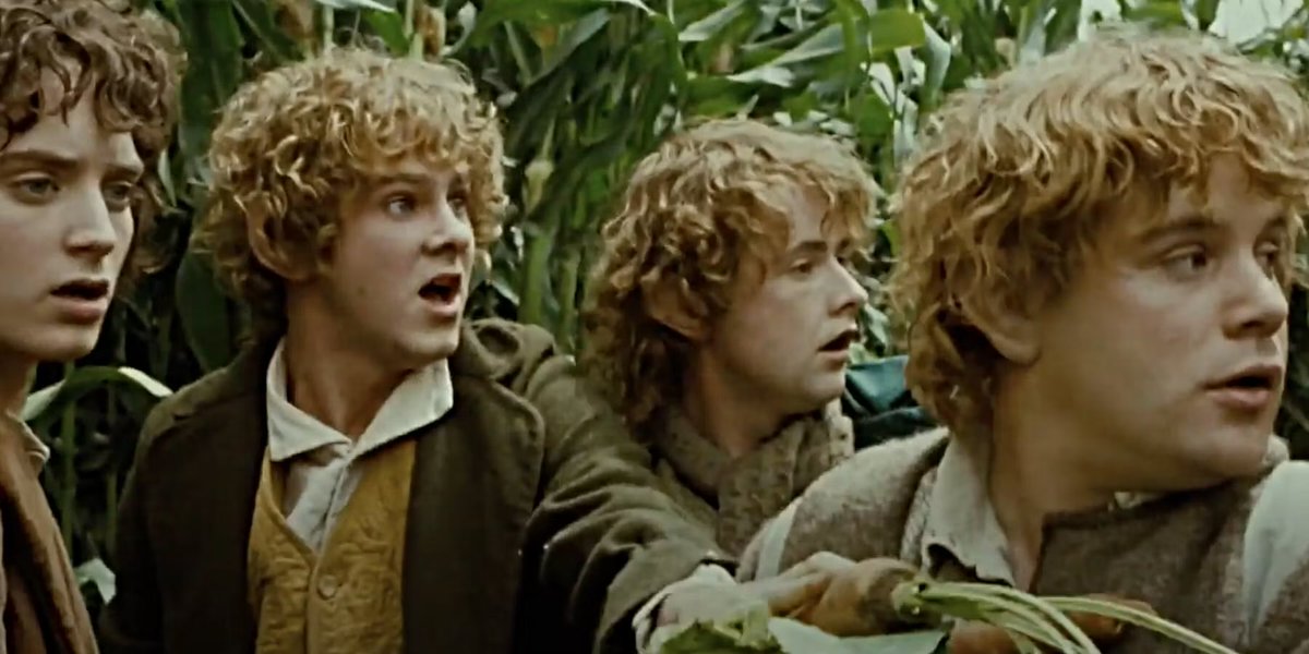 EduBgoode's tweet photo. “Merry - No sé porqué se enfada tanto, por dos zanahorias...

Pippin - Y unos repollos... y los tres sacos de patatas de la semana pasada... iy los champiñones de la semana anterior!” https://t.co/CE5VD1a7y1