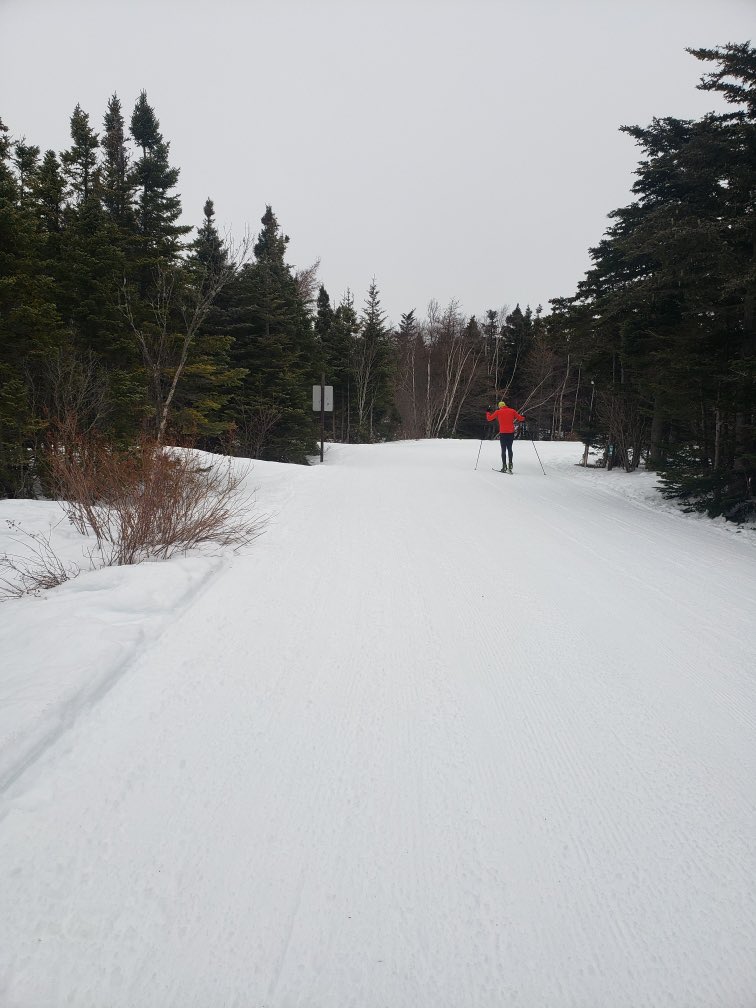 Monday! Pippy Park Winter Activity Centre report. 
9am: “Fabulous!”. Freshly groomed for skate, no classic track set. 

Looks like we might get a bit more snow!