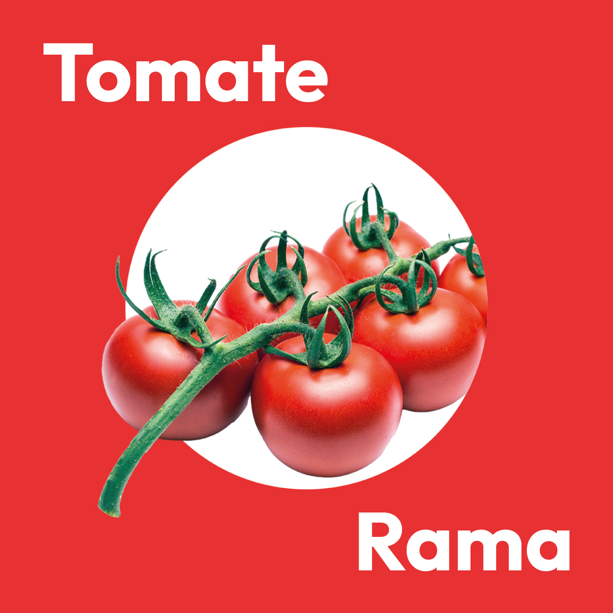 cooperativacasi's tweet photo. Te presentamos a nuestro exquisito 𝐓𝐨𝐦𝐚𝐭𝐞 𝐞𝐧 𝐑𝐚𝐦𝐚🍅

Destaca por su presentación única. Con una textura carnosa y una firmeza excepcional con un sabor intenso y un aroma natural inconfundible

¡Todo lo que necesitas en un tomate!🙌

#SomosCASI https://t.co/LqOxobkV4y