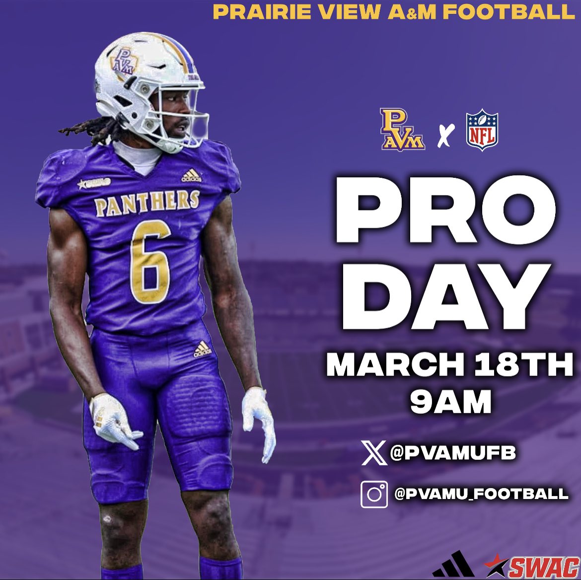 It’s Pro Day at the Hill! Watch our Panthers dominate the field and show off their skills! 🏈💪 They Need all your support Panther Nation ! #Pvamufootball | #PurpleandGold