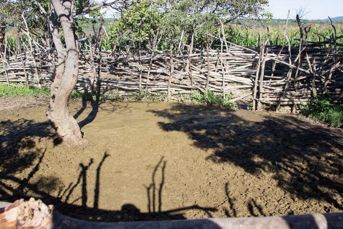 Sonja Leitner tweet media