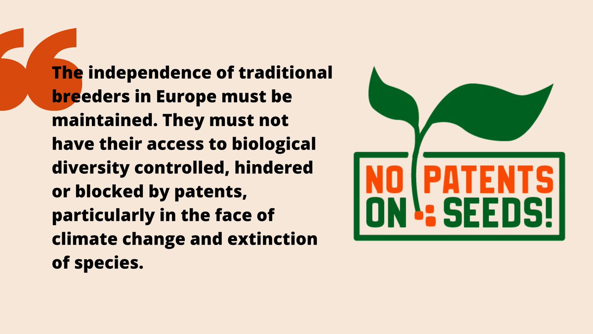 Protect agrobiodiversity against patents on conventionally-bred seeds!📧Write an email to the EU Commissioner @ThierryBreton right now: no-patents-on-seeds.org/en/campaign Please share!