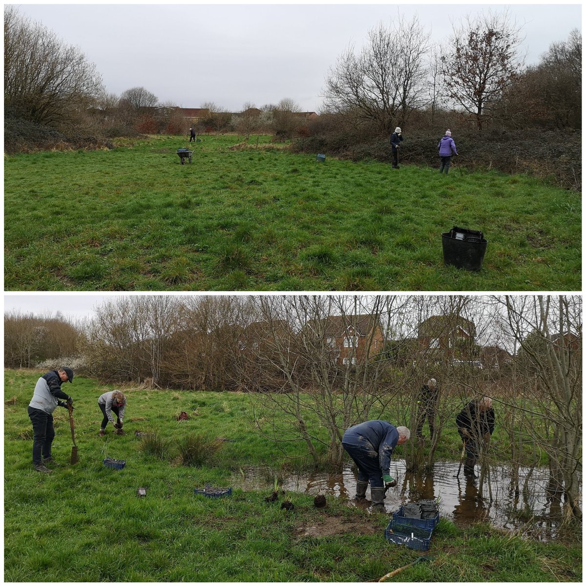 St Mellons & Trowbridge Conservation Volunteers were busy bees at Hendre Lake on Sat, planting 300 native wildflowers to increase species diversity. These plants will be fantastic for all pollinators, list in photo. Thanks to Cardiff Community Park Rangers facebook.com/groups/7689080…