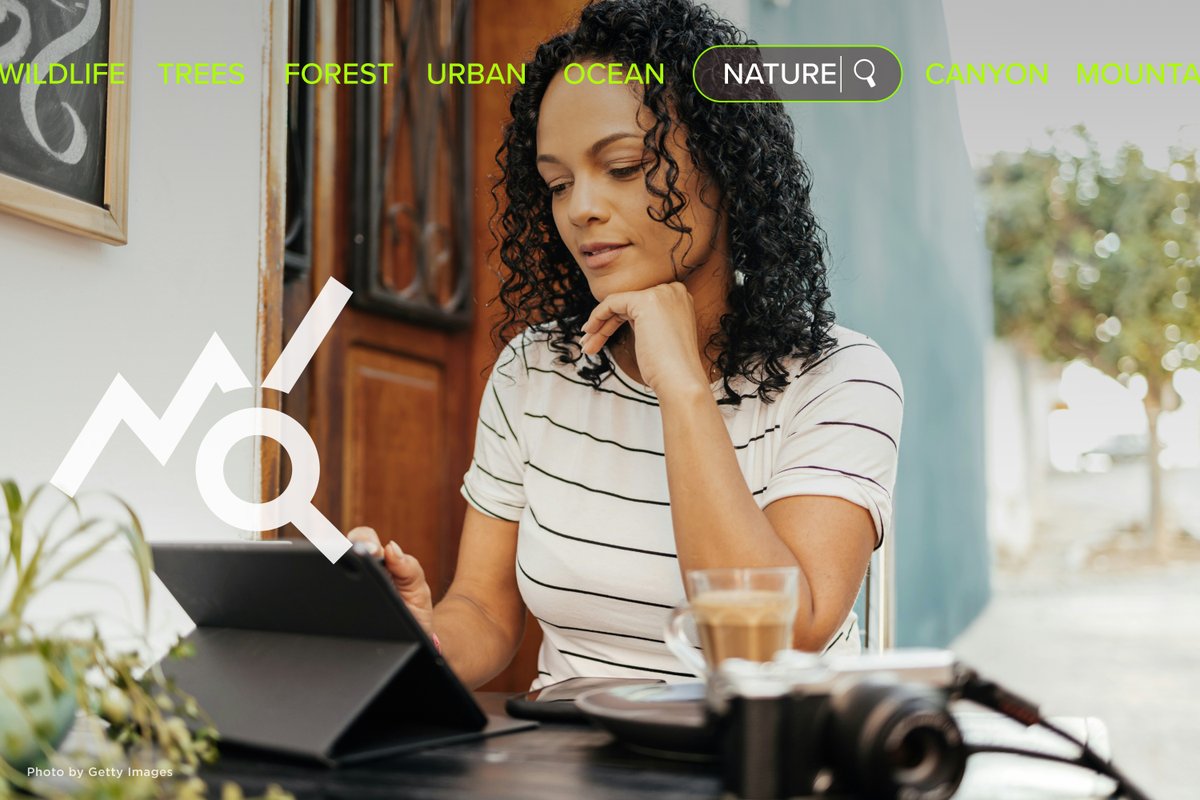 Did you know that we made improvements to help your SmugMug site be discovered by search engines? Yep, sure did! Google can see you. They can really, really, see you!

Read more about these efforts and what's next on our blog 👉 smugmug.com/development-la…